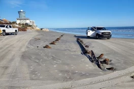 Vật thể bí ẩn dài 25 mét trên bãi biển Florida