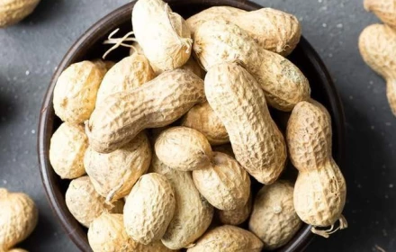 Vì sao không nên dùng lạc làm mồi uống rượu, bia?