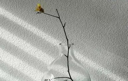 Tuổi Sửu năm 2026 gặp "hại Thái Tuế", những thách thức nào đang chờ?