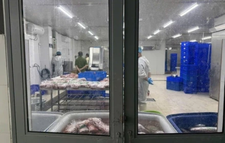 Vạch mặt những phù thủy “chế biến” thịt trâu giá rẻ thành thịt bò thượng hạng