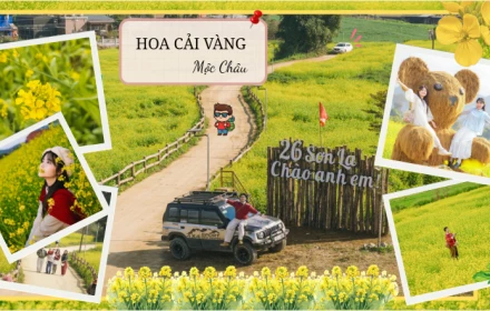 Rực rỡ cuối đông, hoa cải vàng chào Tết: Mộc Châu vào mùa check in đẹp nhất năm