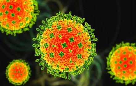 Virus Nipah bùng phát ở Ấn Độ đáng lo ngại ra sao?