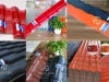 Xu hướng sử dụng Tôn ngói nhựa PVC/ASA Eurolines – Sự lựa chọn của những công trình "Thép"!