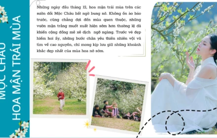 Mộc Châu khi hoa mận trái mùa, nơi cao nguyên thay áo tinh khôi, gọi những kẻ mơ mộng