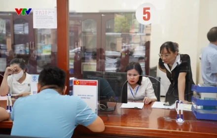 Cơ cấu lại các đơn vị sự nghiệp cấp tỉnh, từng bước thực hiện tự chủ