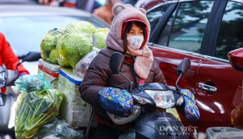 Không khí lạnh tràn về miền Bắc, dự báo thời tiết khu vực nào rét nhất hôm nay (31/1)?