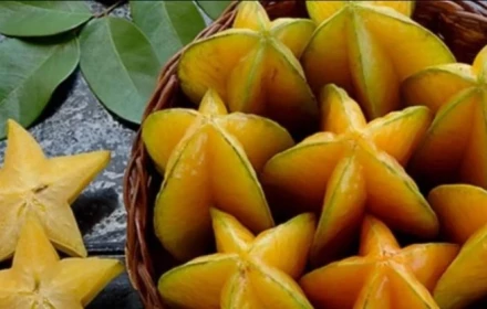 Quả khế: Loại quả dân dã nhưng công dụng chữa bệnh không ngờ