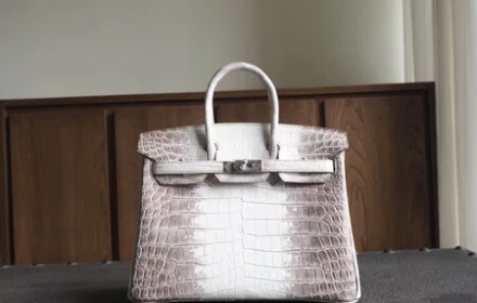 Có cái gì trong 2 túi xách cá sấu mà bà Trương Mỹ Lan tha thiết đến như vậy?