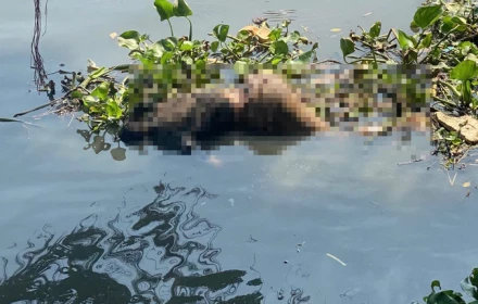 Công an TP.HCM tìm thân nhân nạn nhân tử vong, túi quần có số 233