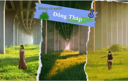 Dưới chân cầu Vàm Cống, lạc vào chốn đồng cỏ xanh mướt đẹp mê mẩn của Đồng Tháp