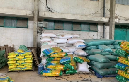 Bắt giám đốc công ty làm giả hàng chục tấn lúa giống cho gạo ngon nhất thế giới