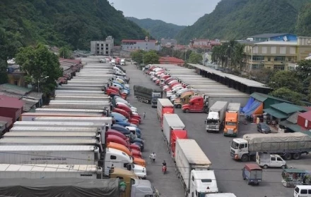 Dừng Nghị định số 46 về an toàn thực phẩm đến hết ngày 15/4/2026