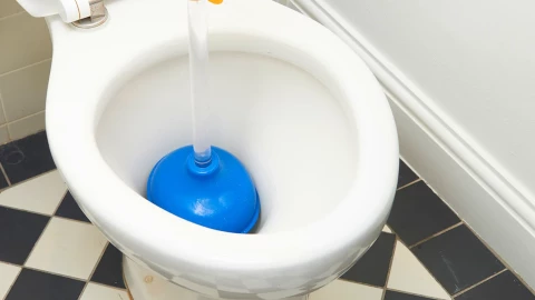 Bạn có thể đang sử dụng ống thông bồn cầu sai cách