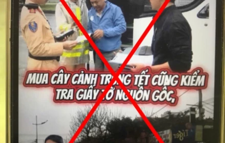 ❌Tin giả: Xác nhận nguồn gốc cây cảnh chưng Tết