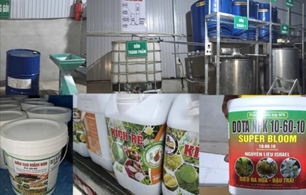 Lập 4 công ty để phục vụ hoạt động làm phân bón giả quy mô lớn