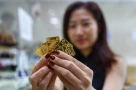 Bộ Tài chính: Áp thuế vàng miếng không gây xáo trộn thị trường