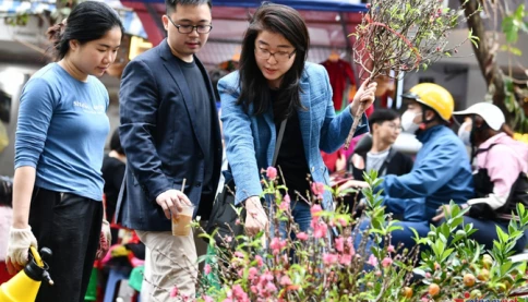 Miền Bắc sắp đón tiếp không khí lạnh, thời tiết Tết Nguyên đán 2026 ra sao?