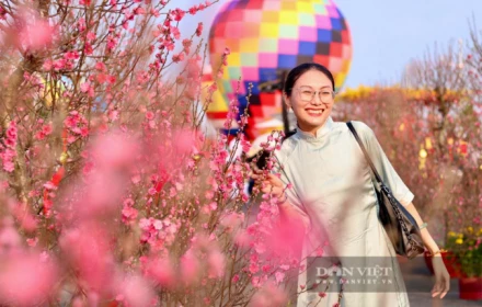 Cập nhật dự báo thời tiết Tết Nguyên đán 2026 cả nước: Sẽ có thêm đợt không khí lạnh về trong Tết