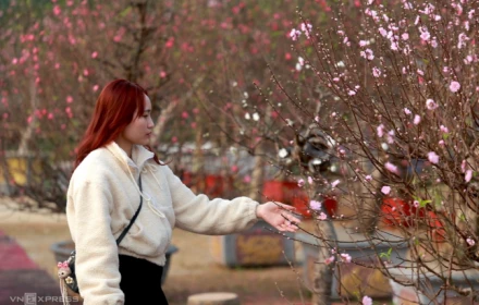 Thời tiết 3 miền Bắc - Trung - Nam dịp Tết