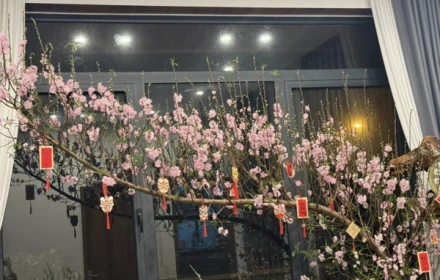 Một số gia đình hồi hộp liệu cành đào còn giữ được đến hết ngày mùng Hai