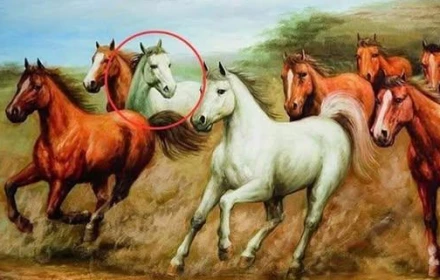 Tại sao trong bức tranh Mã đáo thành công có một con ngựa quay đầu lại?