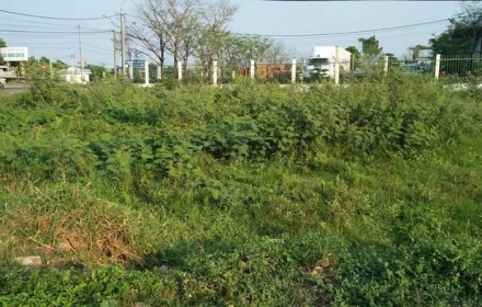 Người dân chuyển đất nông nghiệp sang đất ở trước năm 2026 sẽ được hoàn lại tiền