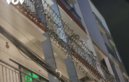 Hàng đàn chim én bay về đậu dày đặc tại trung tâm tỉnh Đồng Tháp