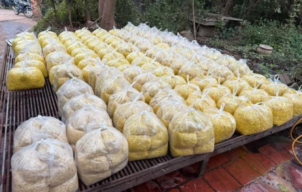 Trộn chất gây ung thư vào gần 2 tấn riềng xay bán ra chợ ở Bắc Ninh