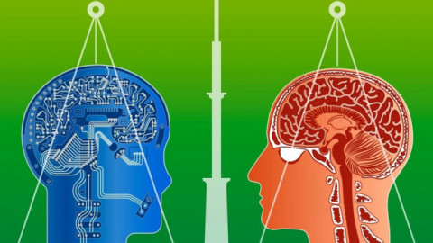 Bộ não con người đấu với siêu máy tính… Cái nào chiến thắng?