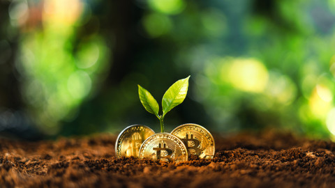Đào Bitcoin tác động thế nào đến môi trường?