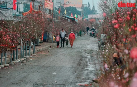 Đợt không khí lạnh đúng Tết Nguyên đán kéo dài đến khi nào?