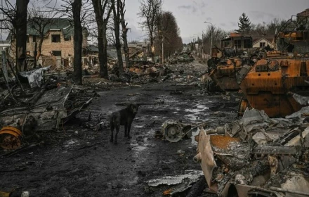 Vì sao đàm phán hòa bình Nga Ukraine bế tắc?