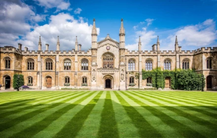 Môn học được xếp hạng số một tại Cambridge suýt nữa đã biến mất