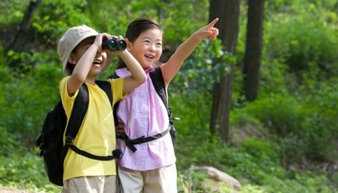 Năm Bính Ngọ “Song Hỏa” nhưng mệnh Thủy: Lưu ý gì cho các chuyến đi của năm 2026?