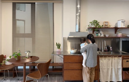 Đặc sản thời tiết sau Tết, 5 loại cây giúp hút ẩm và giảm mùi trong nhà mùa nồm