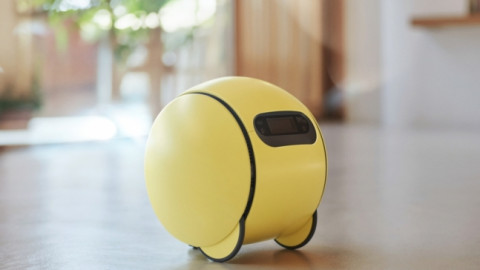 Samsung đầu tư vào công ty robot, tham vọng dẫn đầu thị trường robot hình người tương lai