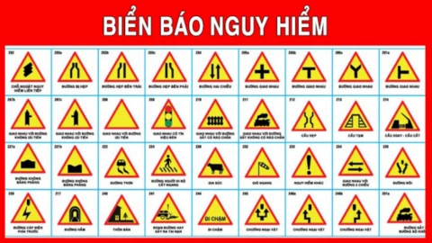 Mở khóa bí kíp thi “Bằng lái xe A1 - Phần lý thuyết” với số điểm cực cao!