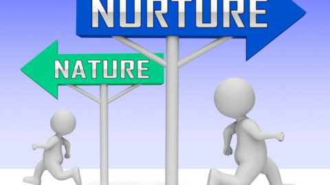 Rối loạn tâm thần có phải do di truyền hay là kết quả của quá trình nuôi dạy?