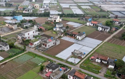 Vì sao nên đơn giản hóa thủ tục chuyển mục đích sử dụng sang đất ở?