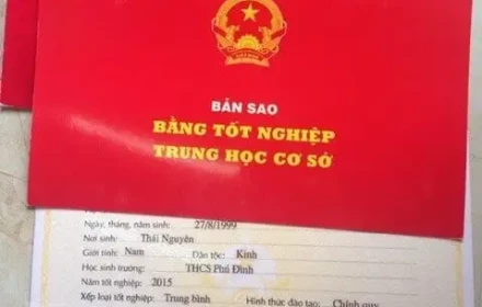 Vì sao nên bỏ bằng tốt nghiệp cấp 2?