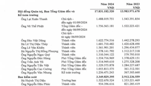 Hé lộ thu nhập của lãnh đạo ACV, Vinaconex vừa bị bắt