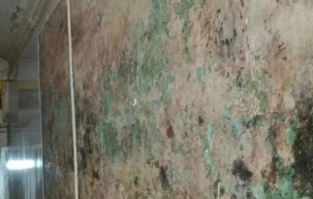 Lưu ý quan trọng khi ốp nhựa tường nhà