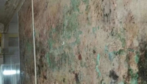 Lưu ý quan trọng khi ốp nhựa tường nhà