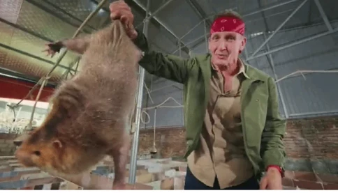 Một blogger ẩm thực Mỹ thử món thịt "chuột khổng lồ" ở Hà Nội, giá hơn 2 triệu đồng/kg