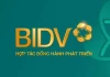 Nóng: BIDV sẽ không còn là "bi-ai" nữa mà chỉ là "bi-đi-vi"