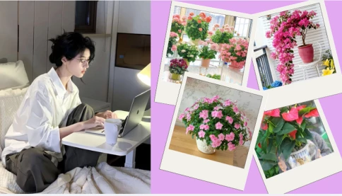 5 loài hoa dành cho người bận rộn: “siêng nở” gần như quanh năm, ít công chăm sóc nhưng rực rỡ 365 ngày