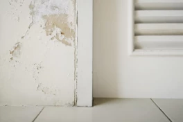 Cách sửa tường nhà bị bong tróc đơn giản, chi phí thấp, hiệu quả nhất