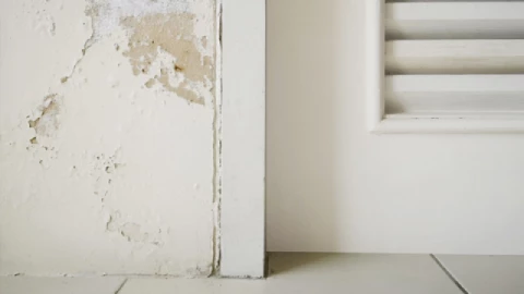 Cách sửa tường nhà bị bong tróc đơn giản, chi phí thấp, hiệu quả nhất