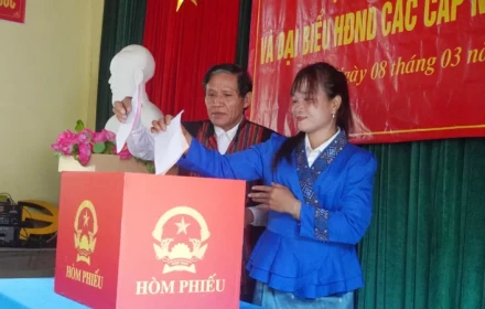 Quy trình bỏ phiếu và kiểm phiếu bầu cử được thực hiện như thế nào?