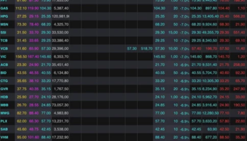 Tâm sự nhà đầu tư bắt đáy